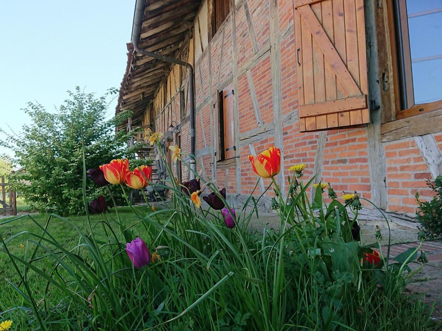 A La Poularde B&B Curciat-Dongalon Extérieur photo