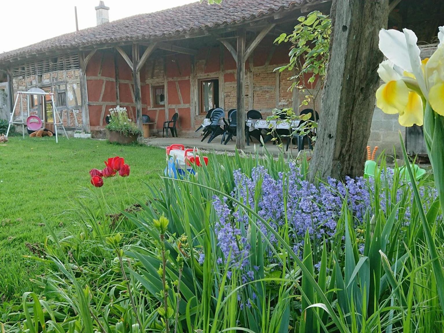 A La Poularde B&B Curciat-Dongalon Chambre photo