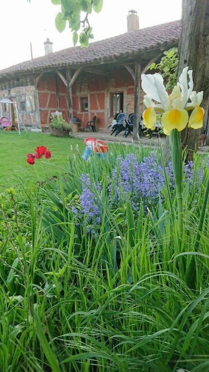 A La Poularde B&B Curciat-Dongalon Chambre photo